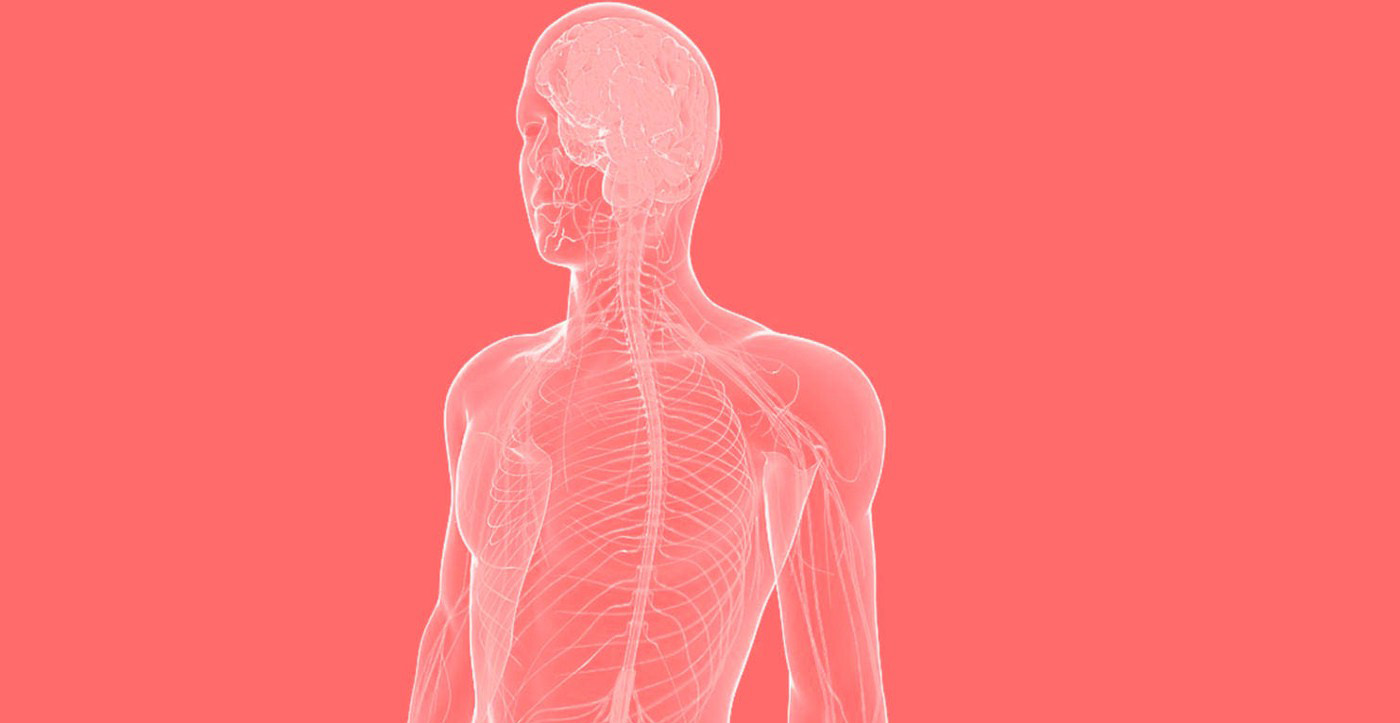 What you could learn from your body within 15 seconds